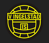 VIIS logo